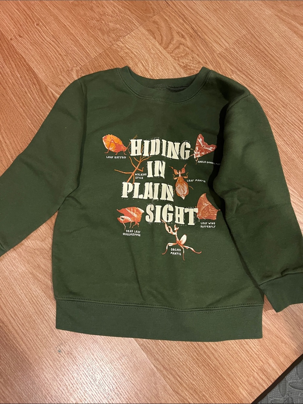 Garanimals Green 'Hiding in Plain Sight' Graphic Sweatshirt with Autumn Accent